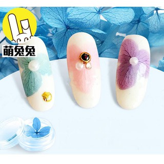 Hoa Khô Lụa 12 màu Ẩn Gel, Ẩn Bột