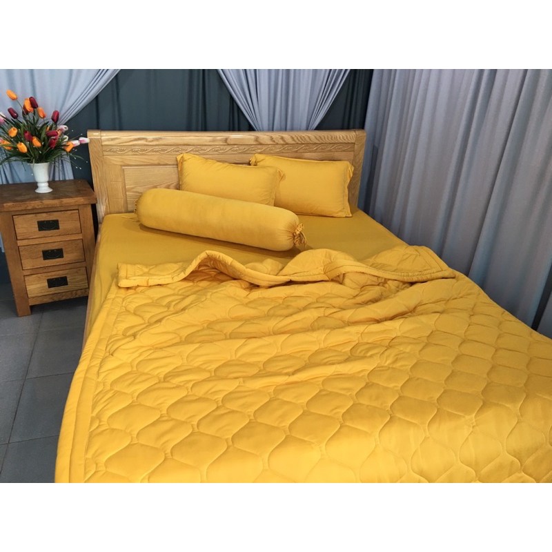 Trọn Bộ Drap Thun màu Full 5 món