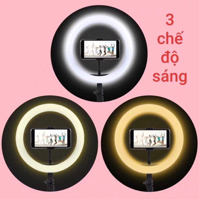 <GIÁ SỐC>Đèn Led Livestream,chụp hình, makeup đủ các size 20cm-26cm-33cm-36cm-45cm