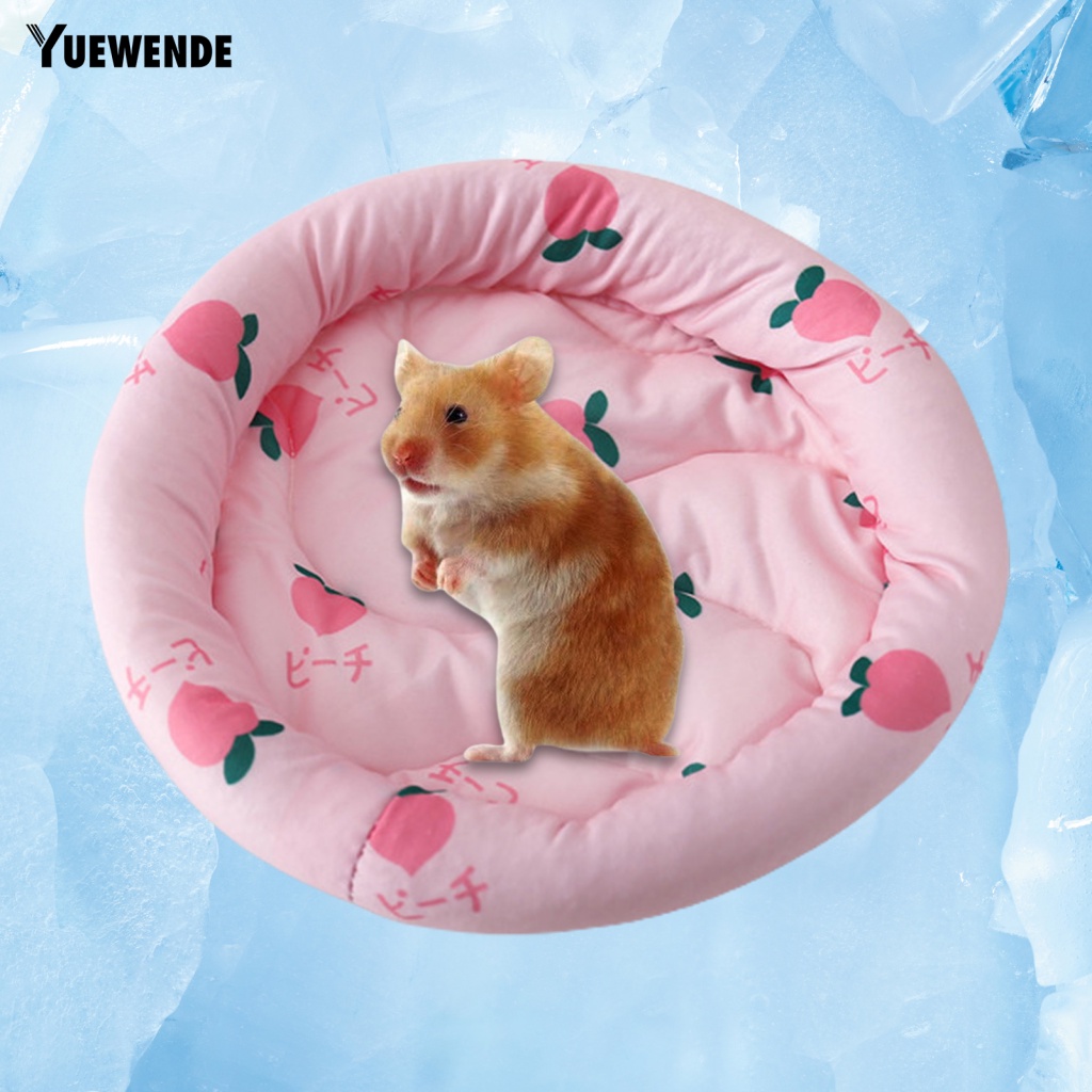 Thảm Lót Chuột Hamster Mùa Hè Dễ Giặt Rửa Tiện Lợi