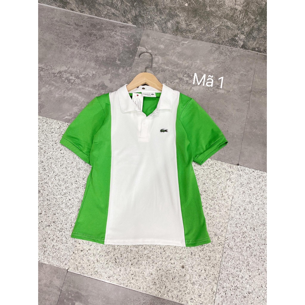 Áo thun cổ đức Polo phối màu cộc tay Nữ kiểu dáng mới nhất - RẺ NHẤT