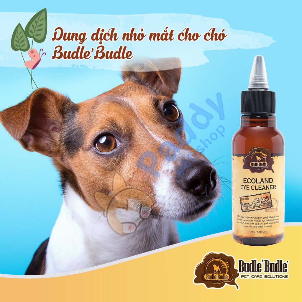 Dung Dịch Vệ Sinh Mắt Cho Chó Budle (120ml)