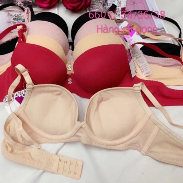 (6607)áo lót thông hơi đệm dày 5 phân