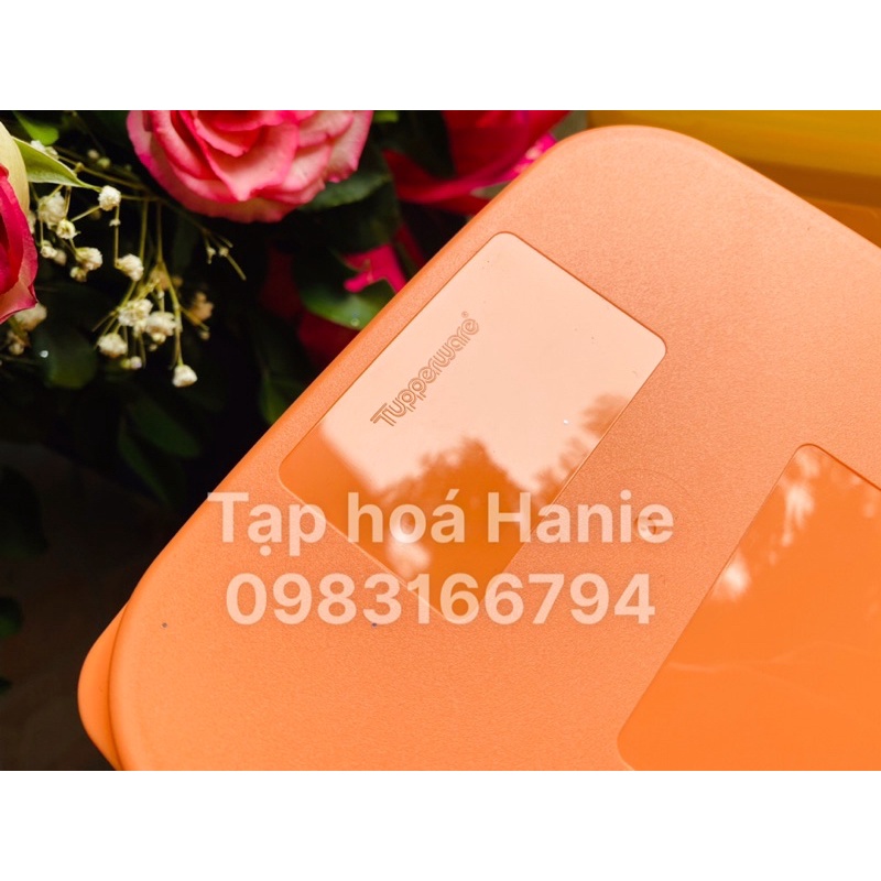 SET 4 HỘP TUPPERWARE NGĂN ĐÔNG 700ML + 300ML