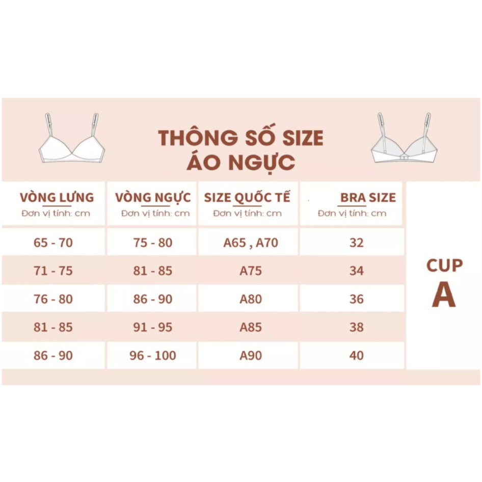 Áo lót nữ cotton chống xệ Vanvene form 3d thông hơi mềm mịn bản lưng áo rộng 10cm áo ngực chống hằn mới A109