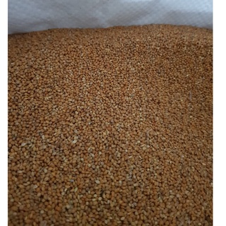 Kê đỏ hạt nhỏ gói 500g - 1kg
