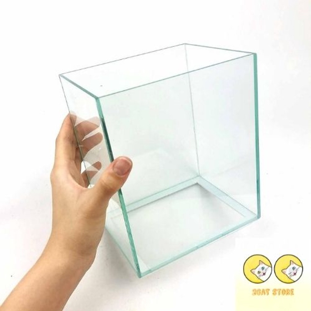 Hồ Kính DÁN DECAL Nuôi Cá Guppy/ Betta, Hồ Show Cá Thủy Tinh