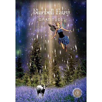 Bài The Sacred Forest Oracle, tác giả Denise Linn