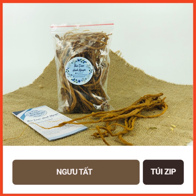 Ngưu tất nam 100g - Thảo Dược Hạnh Nguyên
