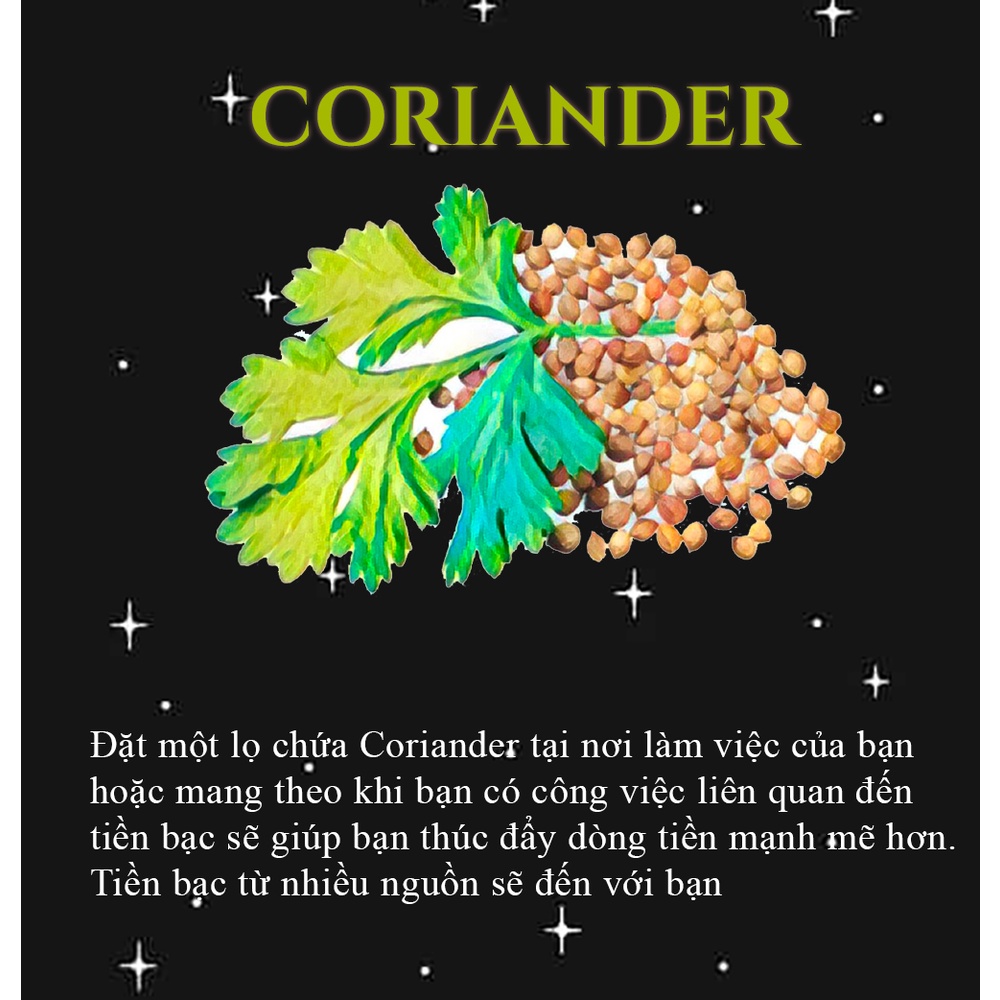 Thanh ( Quế ), Bột Quế Hoa hồng, Cinamom Stick, Dill, Coriander,... Thảo dược thu hút tài lộc, tình duyên