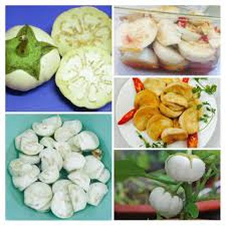 Hạt giống Cà bát trắng F1 - 1gr