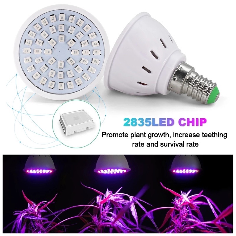 Bóng Đèn Led Chiếu Sáng Trồng Cây E27 E14 220V