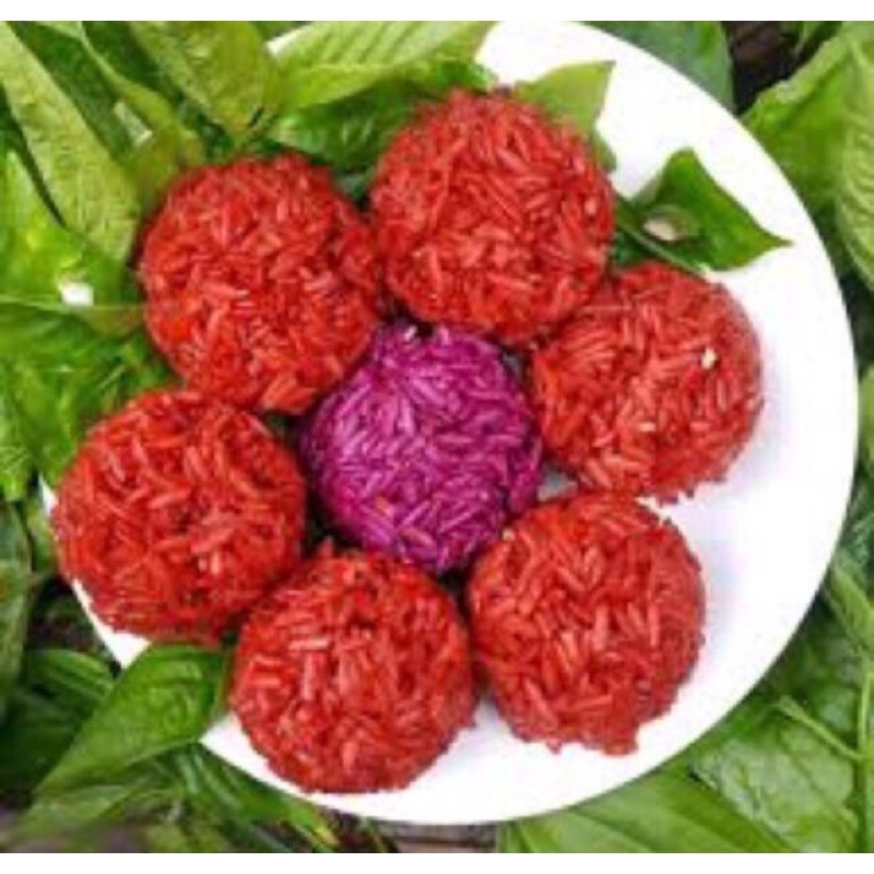 [combo 3kg] lá cẩm đỏ, cẩm tím tươi [gửi hàng khu vực miền trung, nam]
