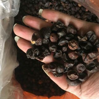 1kg Quả mắc mật