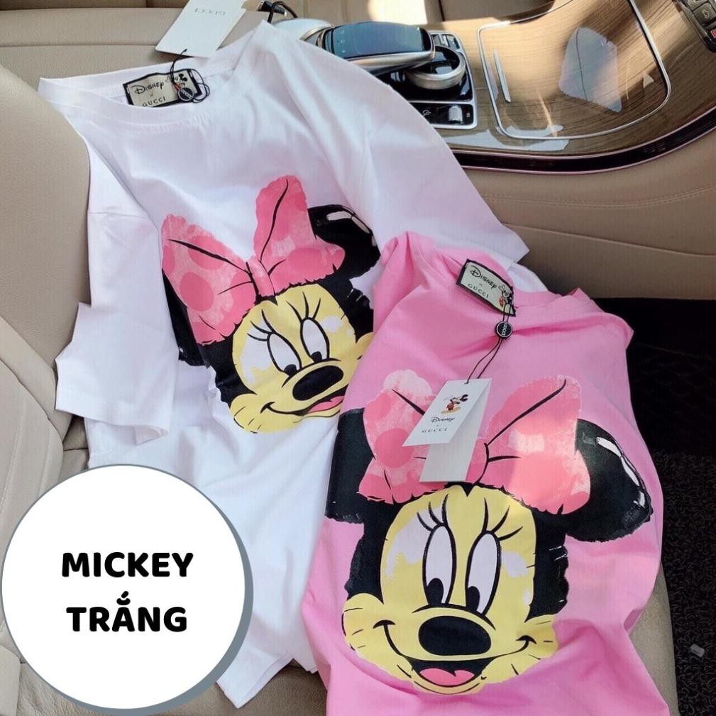 Áo thun nữ tay ngắn chất cotton Tàu xịn from rộng giấu quần QC001 DBN585 | BigBuy360 - bigbuy360.vn