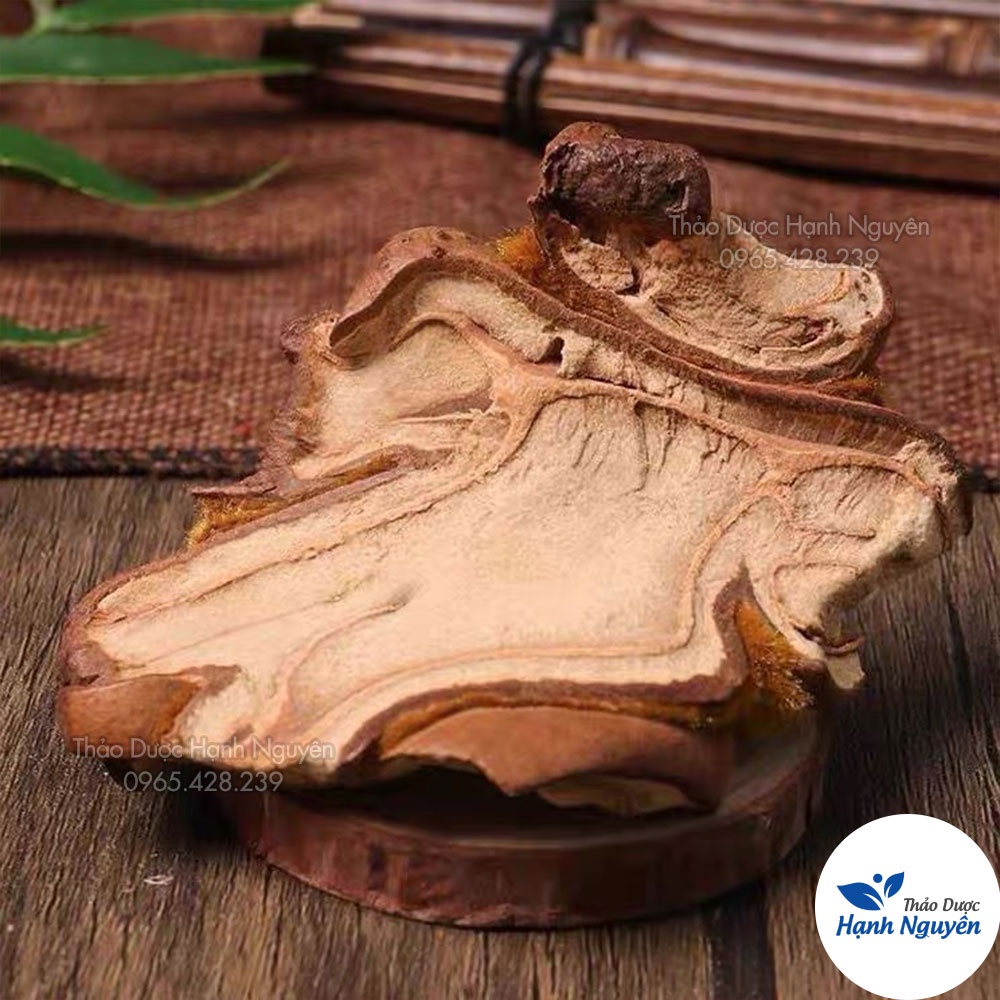 Cẩu tích chưa chế 500g (Cây lông culi giảm tiểu đêm, mạnh gân cốt) - Thảo Dược Hạnh Nguyên