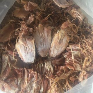 25 con MỰC câu mini