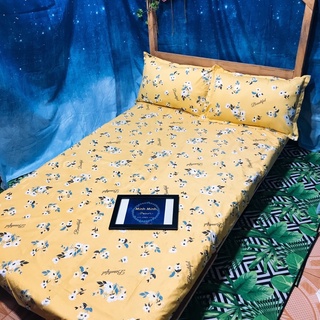 set ga gối ảnh thật minhminh decor