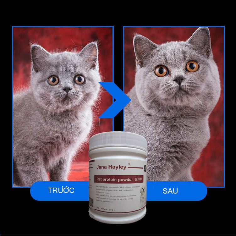 Pet Protein Powder-Dinh dưỡng cần thiết cho chó mèo ốm, mới khỏi bệnh, hộp 258G