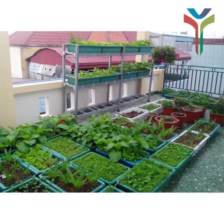 1Kg Đất sạch vi sinh siêu dinh dưỡng diệt trùng kháng khuẩn cực tốt chuyên dùng trồng Rau củ quả sạch - Cây cảnh - Hoa