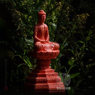Tượng Phật A Di Đà - Tượng Phật Để Thờ - Tượng Phật Trang Nghiêm