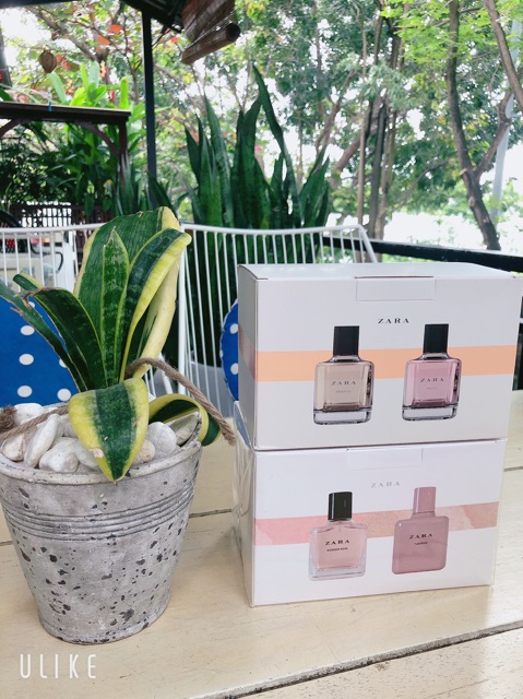 Set Nước Hoa ZARA Oriental Fruity 100ml Mỗi Chai Chính Hãng | Thế Giới Skin Care
