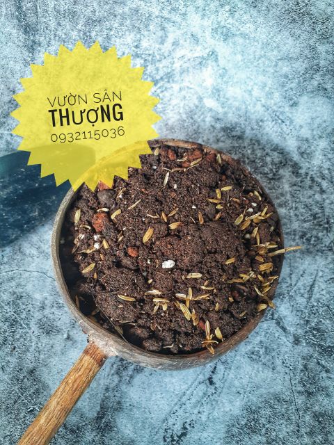 Đất Trộn Sẵn Cho Hương Thảo
