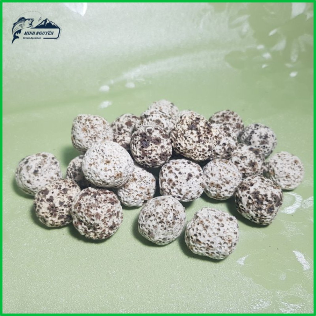 Sứ bi muối tiêu | Vật liệu lọc nước bể cá cao cấp  100G