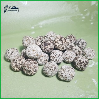 Sứ bi muối tiêu | Vật liệu lọc nước bể cá cao cấp 100G