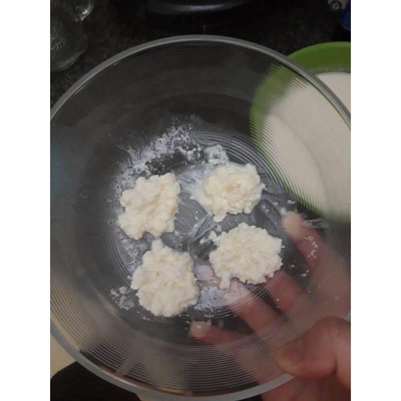 Nấm sữa chua Kefir (1 phần)