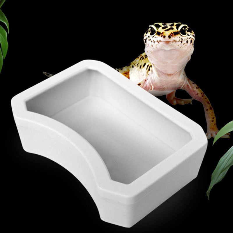 Bát Đựng Thức Ăn Nước Uống Bằng Nhựa 3 Kích Thước Cho Bò Sát