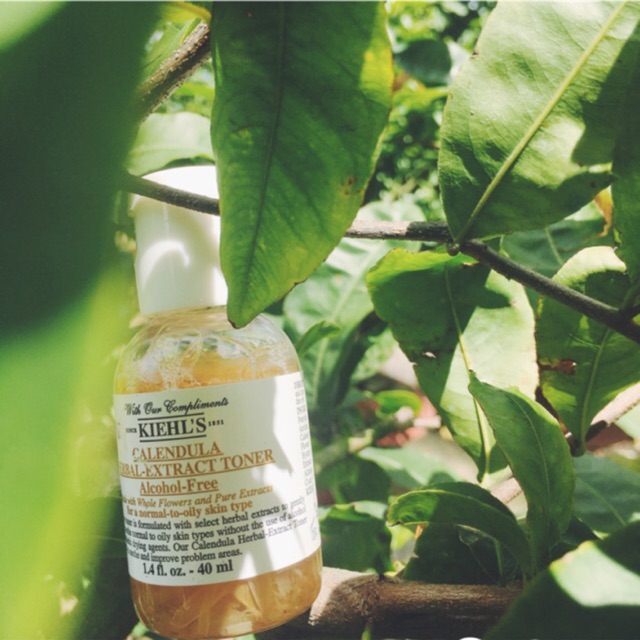 [KIEHL'S] Toner hoa cúc Calendula Herbal Extract