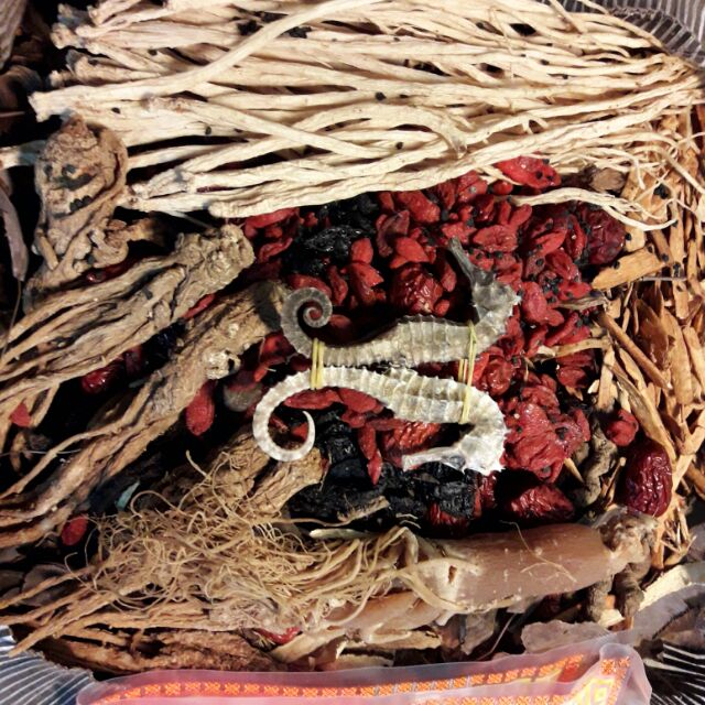 [FREESHIP 99K TOÀN QUỐC]BÀI NGÂM RƯỢU BỔ THẬN TRÁNG DƯƠNG.