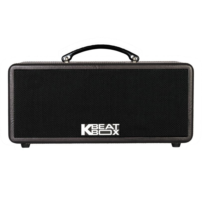 Dàn Âm Thanh Di Động ACNOS KS361MS