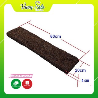 Bảng dớn giá thể trồng Lan 800gr kích thước 60x20x4cm
