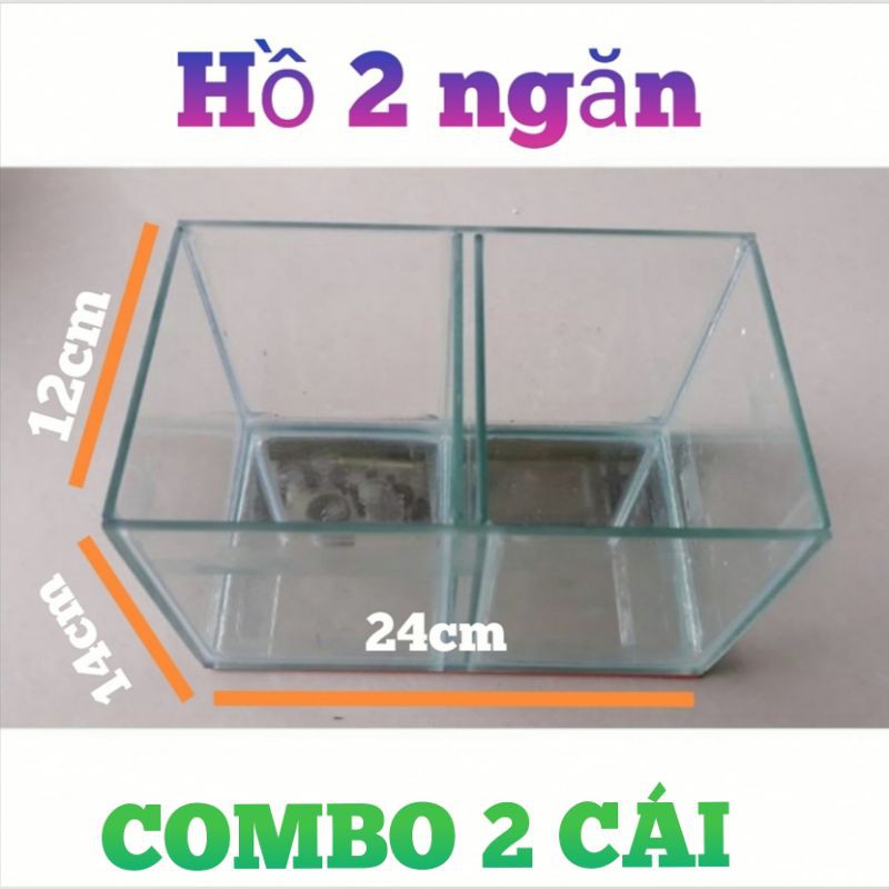 Combo 2 hồ 2 ngăn nuôi giá 150k