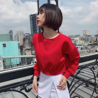 Crop Hoodie