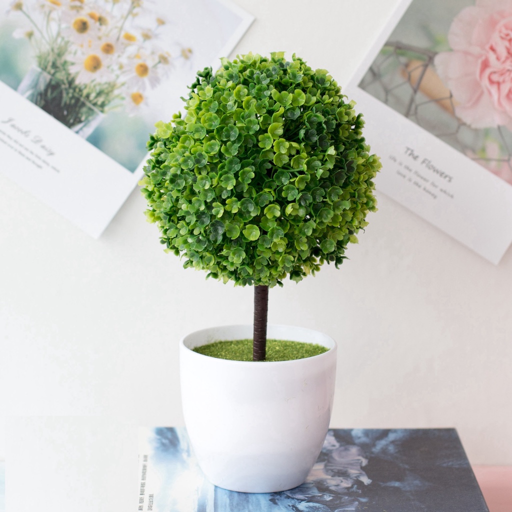 Chậu cây cẩm tú cầu để bàn trang trí