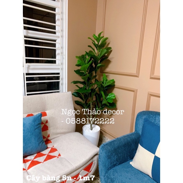 Cây giả , cây bàng Singapor , cây giả trang trí nhà cửa đẹp