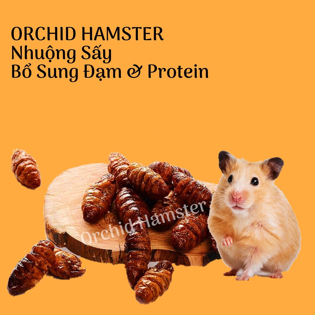 Nhuộng Sấy Cho Hamster