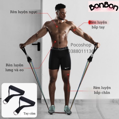 Bộ dây tập GYM ngũ sắc Đàn Hồi Cao Cấp 11 Món, đàn hồi tập thể hình, tập kháng lực