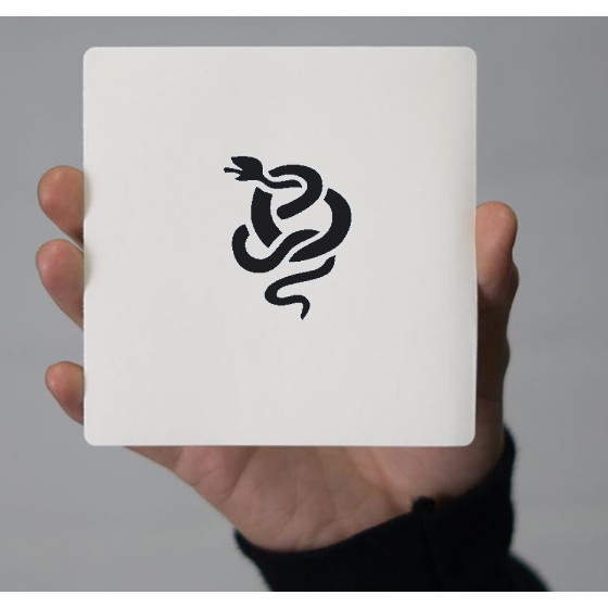 Khuôn decal con rắn