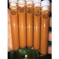 Trứng artemia ấp nở lon vàng chiết lẻ - Tỉ lệ nở rất cao - Mr Fish