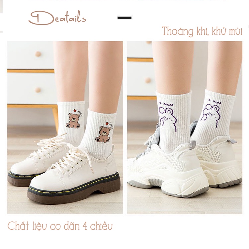 Tất cổ cao nữ set 5 đôi họa tiết cute, vớ nữ chất liệu vải cotton co giãn bốn chiều - Hot Store