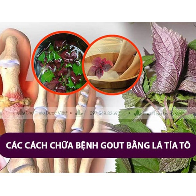 Tía tô khô, thơm, sạch 500g ( Trà tía tô sấy khô, nguyên liệu nấu nước xông giải cam) - Chợ Thảo Dược Việt