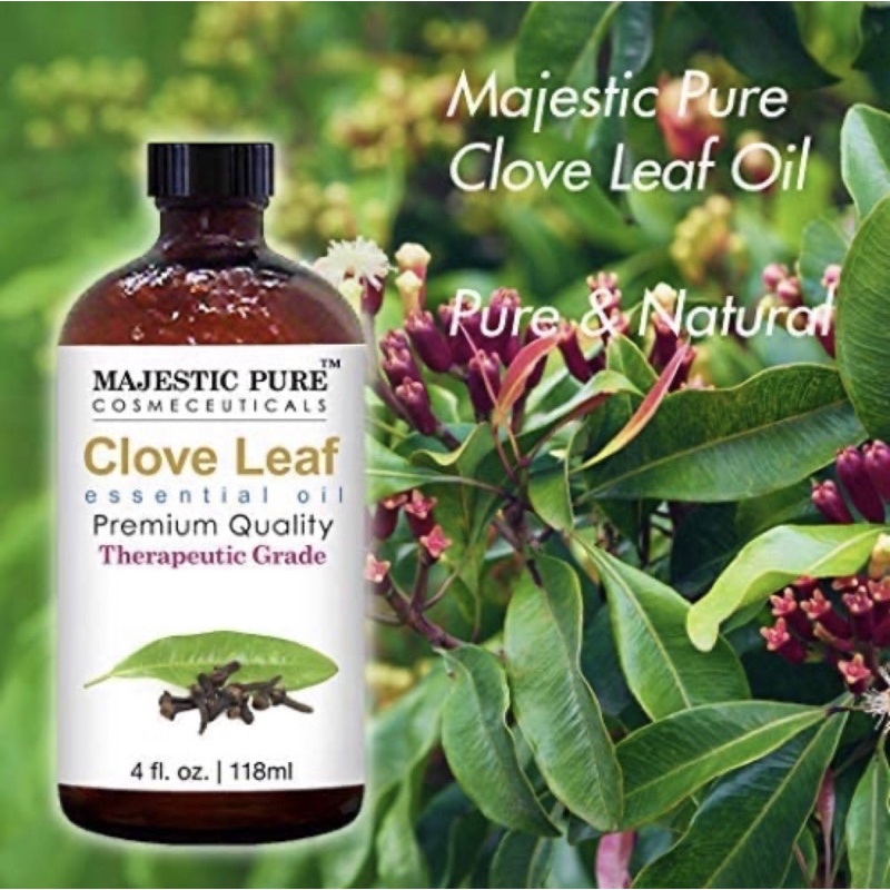 Tinh dầu đinh hương 100% tự nhiên Majestic Pure Clove Essential Oil 118ml USA