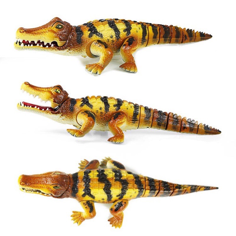 CÁ SẤU PIN Crocodile  -