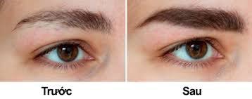 Dưỡng chân mày Eveline 8B1 Total Action Eyebrow Therapy 10ml