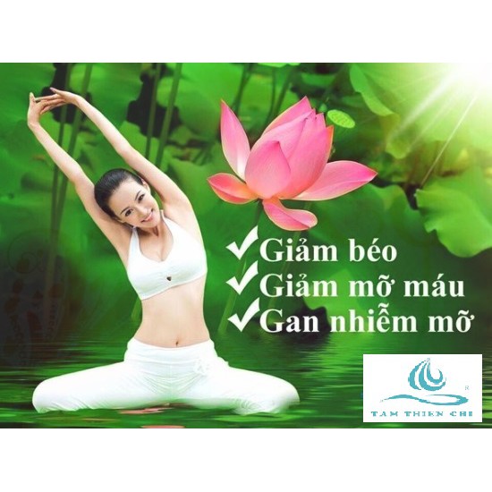 Thực phẩm bảo vệ sức khỏe Trà lá sen Hà Diệp Liên hộp 30 túi lọc | BigBuy360 - bigbuy360.vn