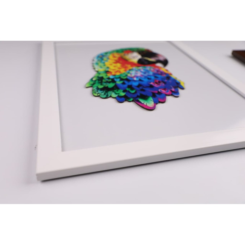 Khung tranh trang trí cao cấp TẶNG KÈM DECAL khi mua cùng Bộ Xếp Hình Gỗ PLUZZLE | BigBuy360 - bigbuy360.vn